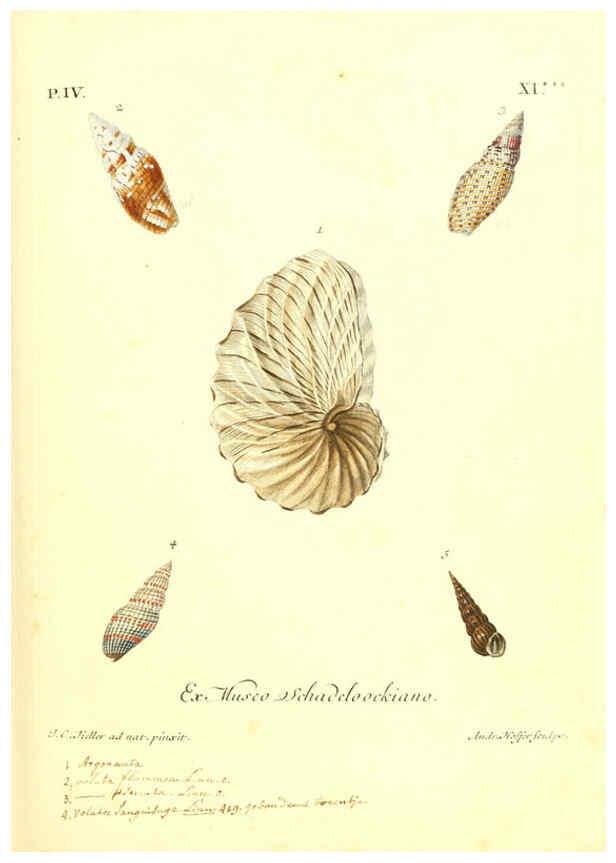 Reproducción/Reproduction 6096100961: Vergnügen der Augen und des Gemüths. v.2 atlas. [Nuremberg :1757