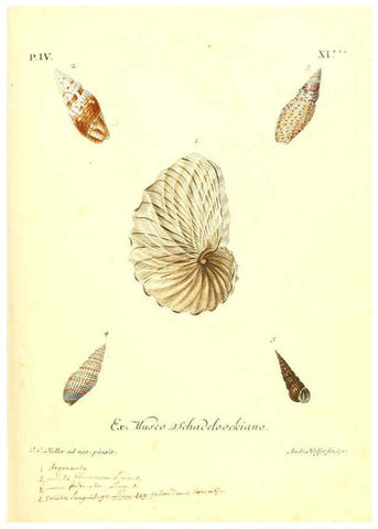 Reproducción/Reproduction 6096100961: Vergnügen der Augen und des Gemüths. v.2 atlas. [Nuremberg :1757