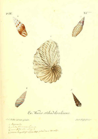 Reproducción/Reproduction 6096100961: Vergnügen der Augen und des Gemüths. v.2 atlas. [Nuremberg :1757