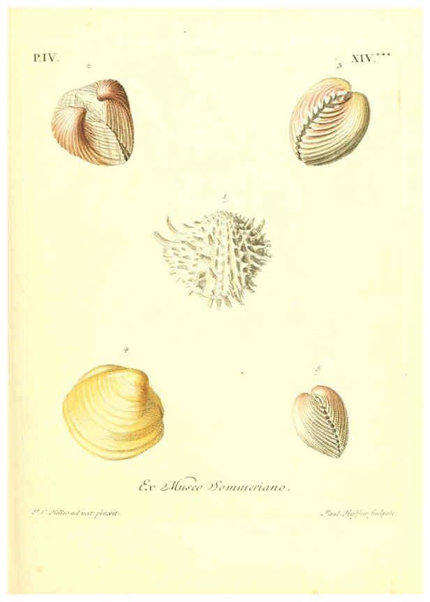 Reproducción/Reproduction 6096101821: Vergnügen der Augen und des Gemüths. v.2 atlas. [Nuremberg :1757