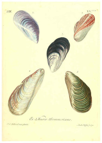 Reproducción/Reproduction 6096102093: Vergnügen der Augen und des Gemüths. v.2 atlas. [Nuremberg :1757