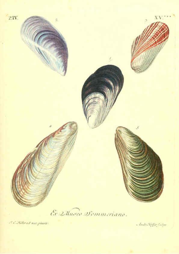 Reproducción/Reproduction 6096102093: Vergnügen der Augen und des Gemüths. v.2 atlas. [Nuremberg :1757