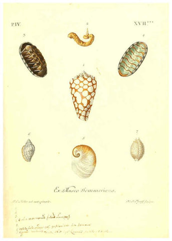 Reproducción/Reproduction 6096102511: Vergnügen der Augen und des Gemüths. v.2 atlas. [Nuremberg :1757