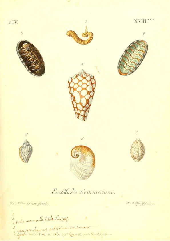Reproducción/Reproduction 6096102511: Vergnügen der Augen und des Gemüths. v.2 atlas. [Nuremberg :1757