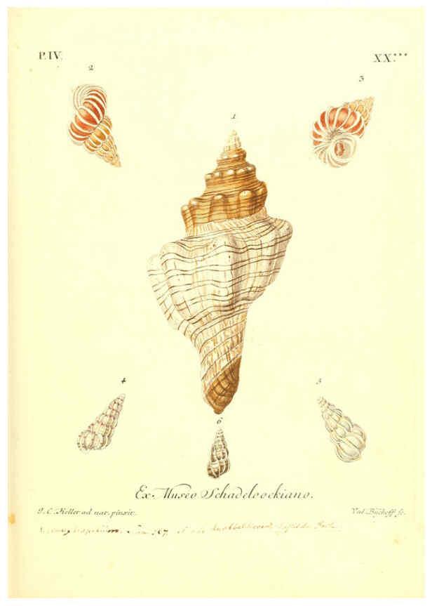 Reproducción/Reproduction 6096647602: Vergnügen der Augen und des Gemüths. v.2 atlas. [Nuremberg :1757