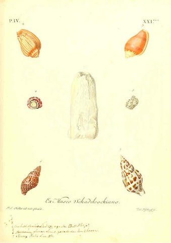 Reproducción/Reproduction 6096647800: Vergnügen der Augen und des Gemüths. v.2 atlas. [Nuremberg :1757
