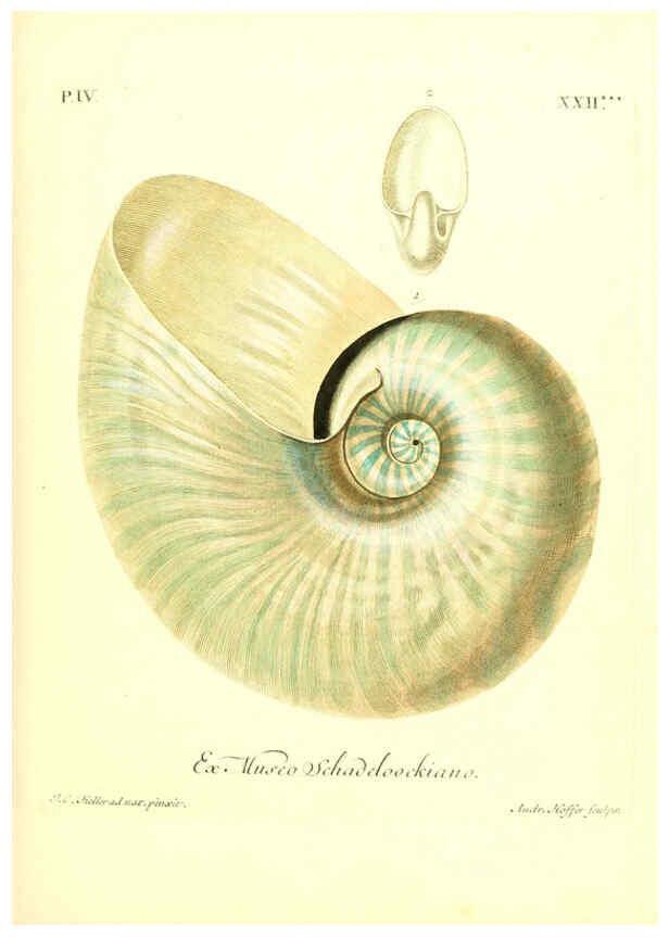 Reproducción/Reproduction 6096648046: Vergnügen der Augen und des Gemüths. v.2 atlas. [Nuremberg :1757