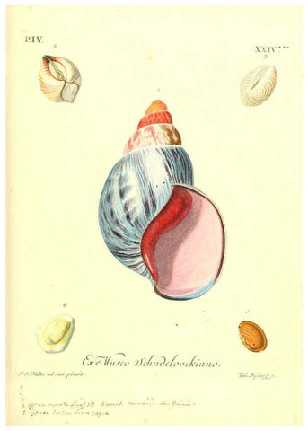 Reproducción/Reproduction 6096104201: Vergnügen der Augen und des Gemüths. v.2 atlas. [Nuremberg :1757