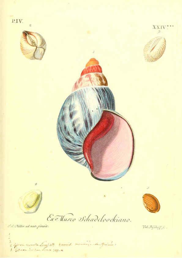 Reproducción/Reproduction 6096104201: Vergnügen der Augen und des Gemüths. v.2 atlas. [Nuremberg :1757