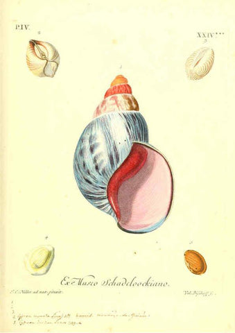 Reproducción/Reproduction 6096104201: Vergnügen der Augen und des Gemüths. v.2 atlas. [Nuremberg :1757