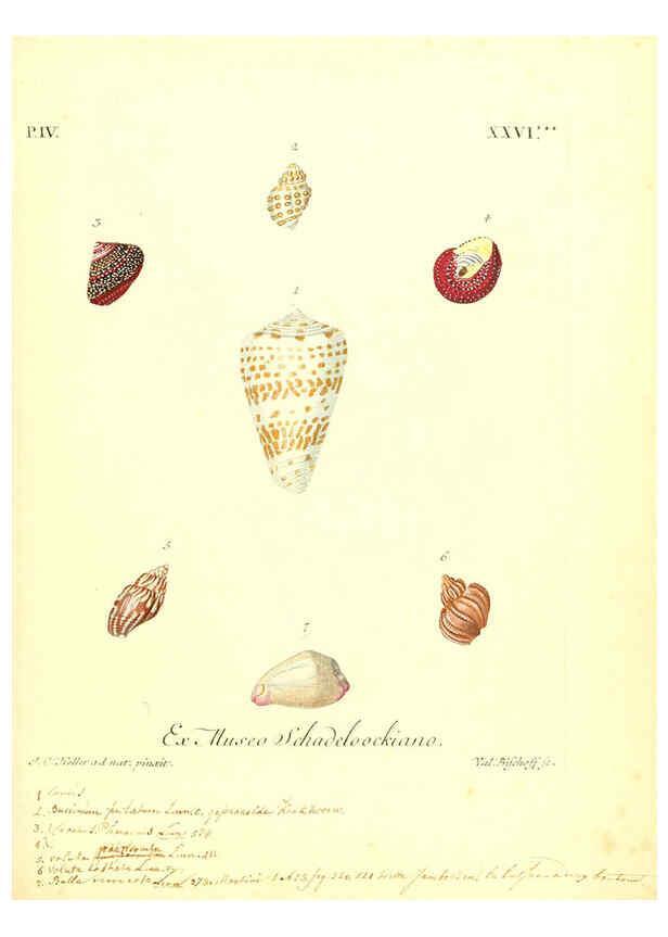 Reproducción/Reproduction 6096649168: Vergnügen der Augen und des Gemüths. v.2 atlas. [Nuremberg :1757