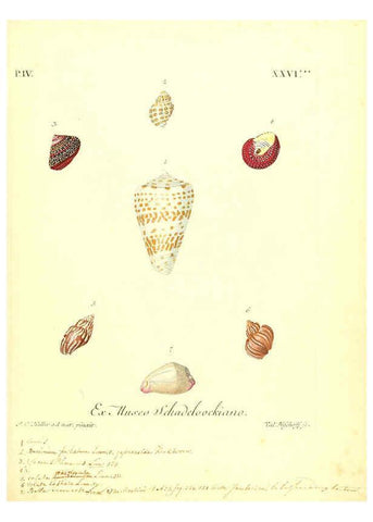 Reproducción/Reproduction 6096649168: Vergnügen der Augen und des Gemüths. v.2 atlas. [Nuremberg :1757
