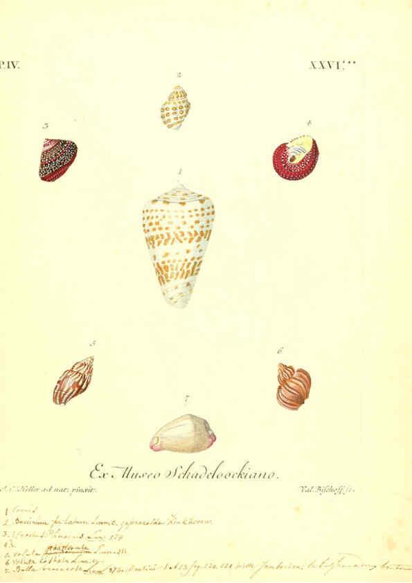 Reproducción/Reproduction 6096649168: Vergnügen der Augen und des Gemüths. v.2 atlas. [Nuremberg :1757
