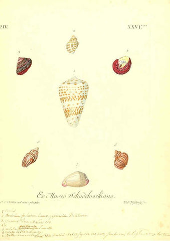 Reproducción/Reproduction 6096649168: Vergnügen der Augen und des Gemüths. v.2 atlas. [Nuremberg :1757