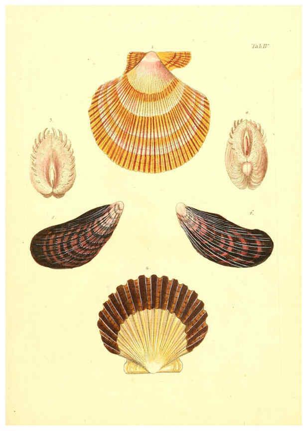 Reproducción/Reproduction 6096075813: Vergnügen der Augen und des Gemüths. v.2 atlas. [Nuremberg :1757