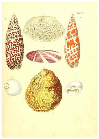 Reproducción/Reproduction 6096620750: Vergnügen der Augen und des Gemüths. v.2 atlas. [Nuremberg :1757