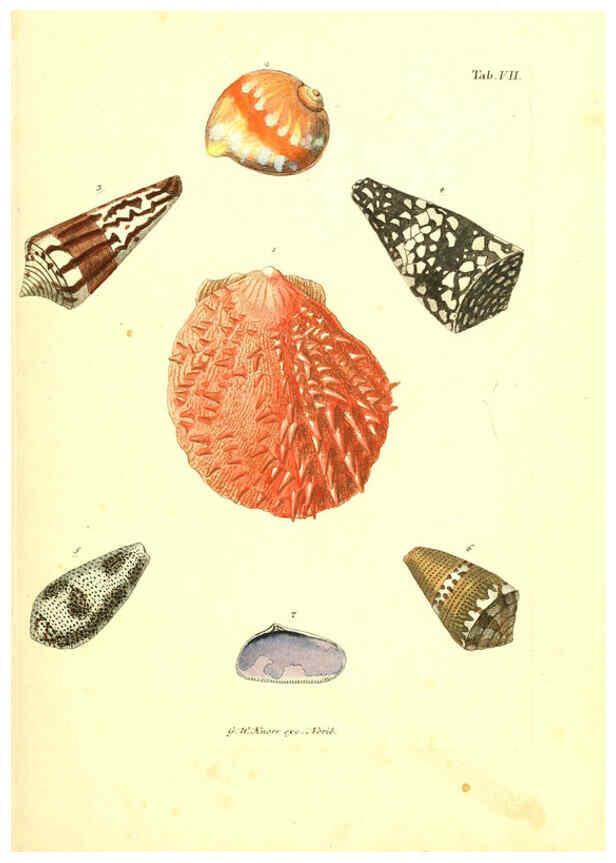 Reproducción/Reproduction 6096076457: Vergnügen der Augen und des Gemüths. v.2 atlas. [Nuremberg :1757