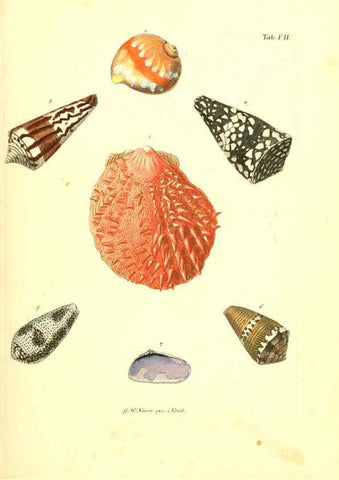 Reproducción/Reproduction 6096076457: Vergnügen der Augen und des Gemüths. v.2 atlas. [Nuremberg :1757