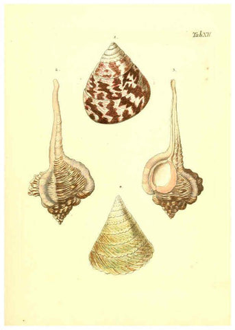 Reproducción/Reproduction 6096077795: Vergnügen der Augen und des Gemüths. v.2 atlas. [Nuremberg :1757
