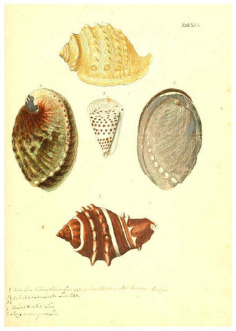 Reproducción/Reproduction 6096079327: Vergnügen der Augen und des Gemüths. v.2 atlas. [Nuremberg :1757