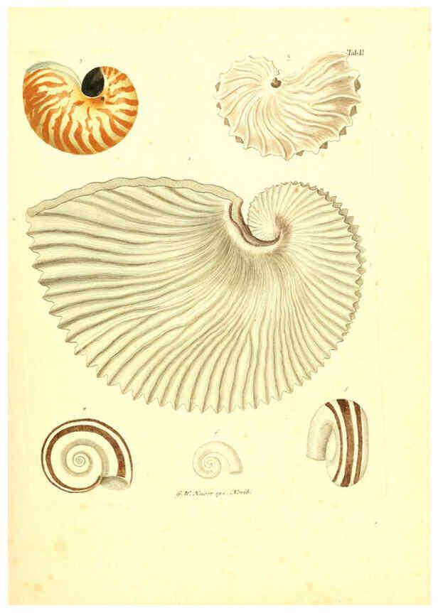 Reproducción/Reproduction 6096619934: Vergnügen der Augen und des Gemüths. v.2 atlas. [Nuremberg :1757