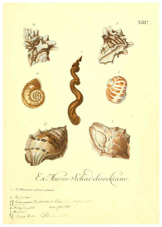 Reproducción/Reproduction 6096086291: Vergnügen der Augen und des Gemüths. v.2 atlas. [Nuremberg :1757