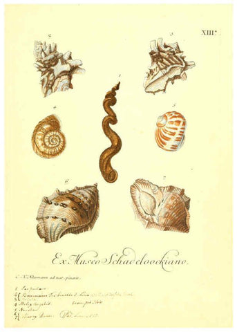 Reproducción/Reproduction 6096086291: Vergnügen der Augen und des Gemüths. v.2 atlas. [Nuremberg :1757