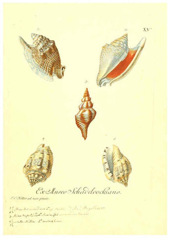 Reproducción/Reproduction 6096631184: Vergnügen der Augen und des Gemüths. v.2 atlas. [Nuremberg :1757