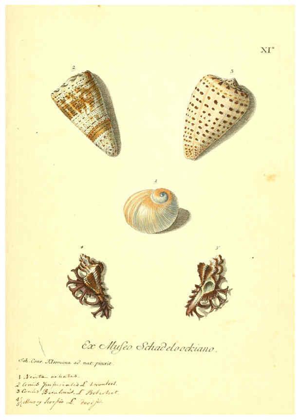 Reproducción/Reproduction 6096085795: Vergnügen der Augen und des Gemüths. v.2 atlas. [Nuremberg :1757