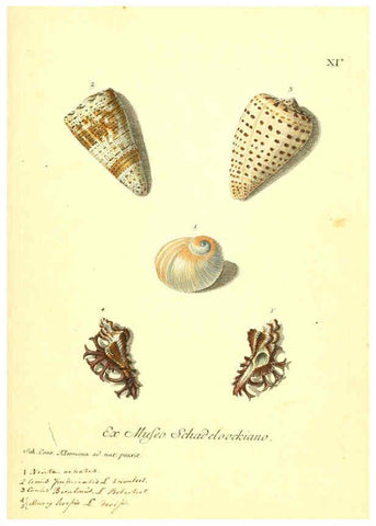 Reproducción/Reproduction 6096085795: Vergnügen der Augen und des Gemüths. v.2 atlas. [Nuremberg :1757