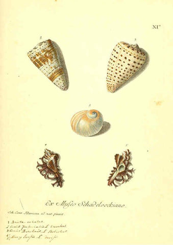 Reproducción/Reproduction 6096085795: Vergnügen der Augen und des Gemüths. v.2 atlas. [Nuremberg :1757