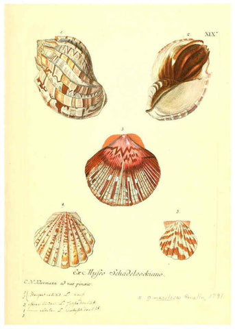 Reproducción/Reproduction 6096632184: Vergnügen der Augen und des Gemüths. v.2 atlas. [Nuremberg :1757