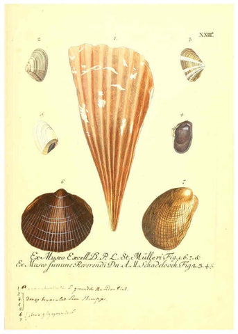 Reproducción/Reproduction 6096633304: Vergnügen der Augen und des Gemüths. v.2 atlas. [Nuremberg :1757