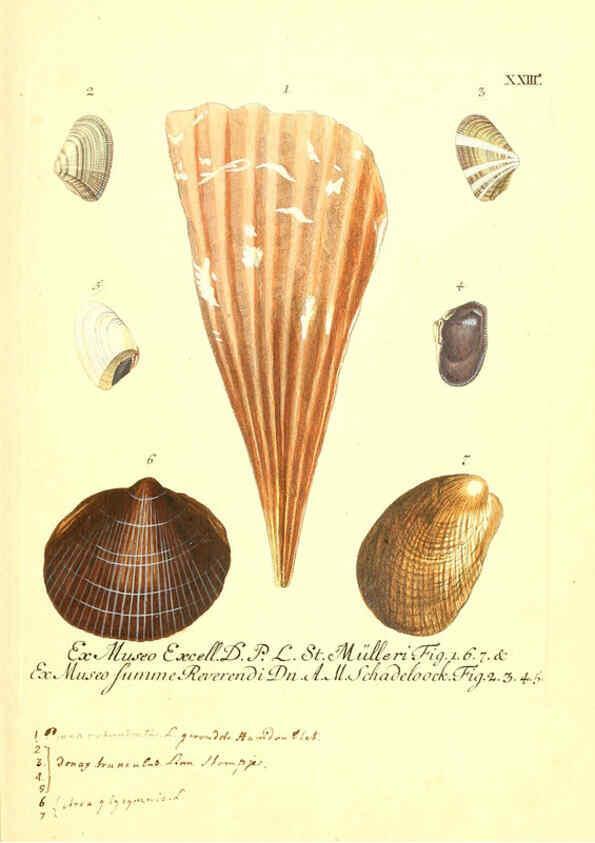 Reproducción/Reproduction 6096633304: Vergnügen der Augen und des Gemüths. v.2 atlas. [Nuremberg :1757