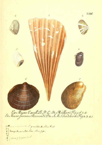 Reproducción/Reproduction 6096633304: Vergnügen der Augen und des Gemüths. v.2 atlas. [Nuremberg :1757