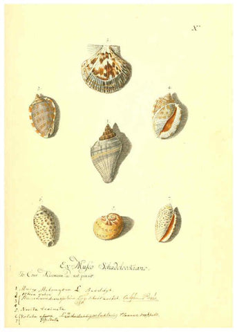 Reproducción/Reproduction 6096629968: Vergnügen der Augen und des Gemüths. v.2 atlas. [Nuremberg :1757