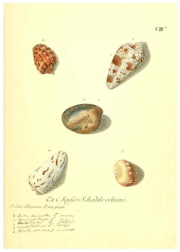 Reproducción/Reproduction 6096629454: Vergnügen der Augen und des Gemüths. v.2 atlas. [Nuremberg :1757