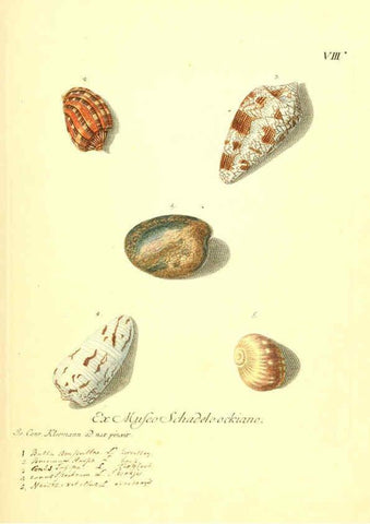 Reproducción/Reproduction 6096629454: Vergnügen der Augen und des Gemüths. v.2 atlas. [Nuremberg :1757