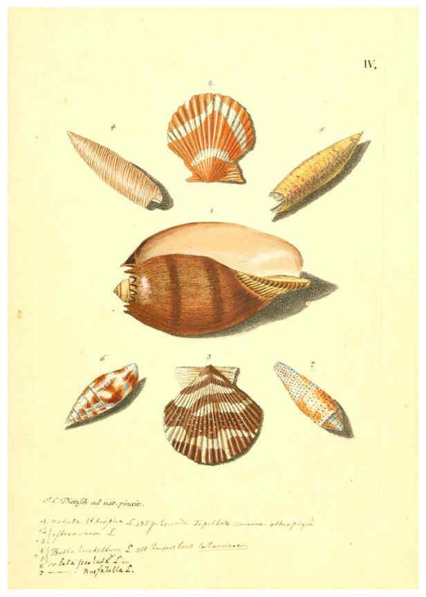 Reproducción/Reproduction 6096084005: Vergnügen der Augen und des Gemüths. v.2 atlas. [Nuremberg :1757