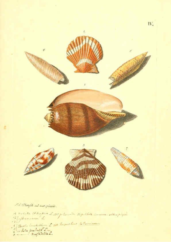 Reproducción/Reproduction 6096084005: Vergnügen der Augen und des Gemüths. v.2 atlas. [Nuremberg :1757