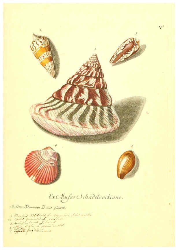 Reproducción/Reproduction 6096084227: Vergnügen der Augen und des Gemüths. v.2 atlas. [Nuremberg :1757