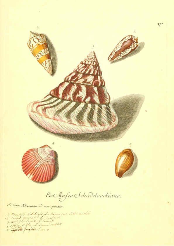 Reproducción/Reproduction 6096084227: Vergnügen der Augen und des Gemüths. v.2 atlas. [Nuremberg :1757