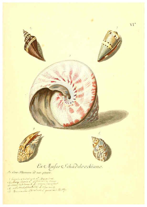 Reproducción/Reproduction 6096628986: Vergnügen der Augen und des Gemüths. v.2 atlas. [Nuremberg :1757