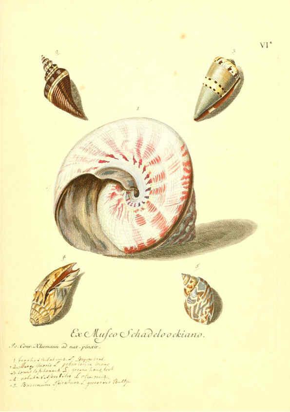 Reproducción/Reproduction 6096628986: Vergnügen der Augen und des Gemüths. v.2 atlas. [Nuremberg :1757
