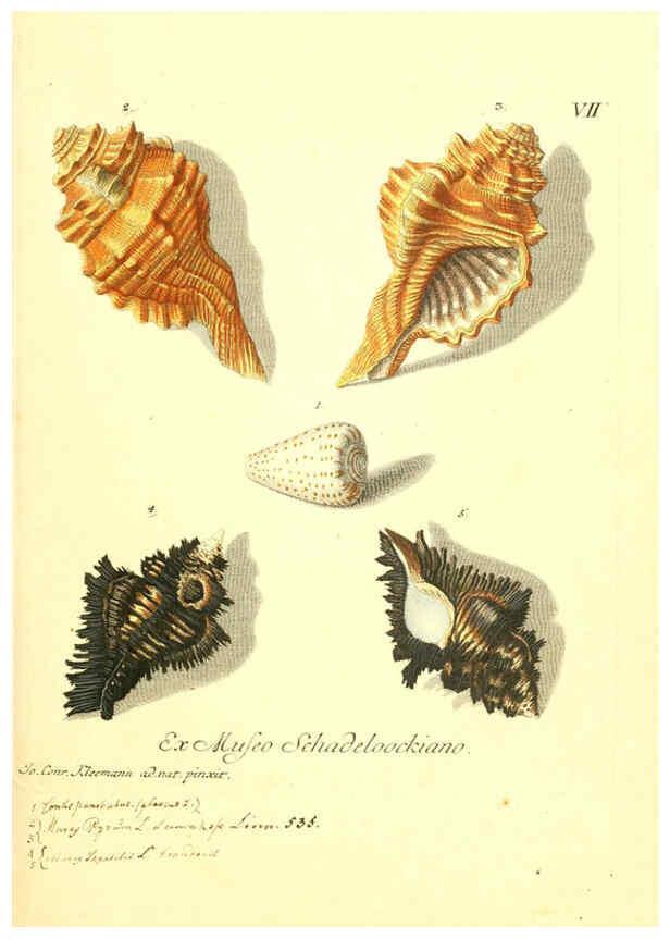 Reproducción/Reproduction 6096629188: Vergnügen der Augen und des Gemüths. v.2 atlas. [Nuremberg :1757