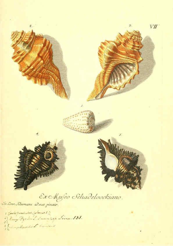 Reproducción/Reproduction 6096629188: Vergnügen der Augen und des Gemüths. v.2 atlas. [Nuremberg :1757