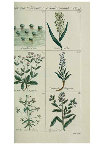 Reproducción/Reproduction 6103465747: Plantes usuelles, indigènes et exotiques Paris :Duprat-Duverger,1809