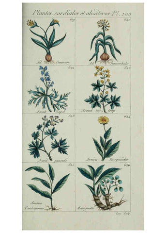 Reproducción/Reproduction 6103467523: Plantes usuelles, indigènes et exotiques Paris :Duprat-Duverger,1809