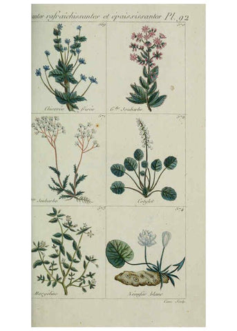 Reproducción/Reproduction 6104012296: Plantes usuelles, indigènes et exotiques Paris :Duprat-Duverger,1809