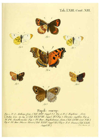 Reproducción/Reproduction 6103312708: Die Schmetterlinge in Abbildungen nach der Natur. v.1 plates. Leipzig :T.O. Weigel,[1829-1839] 